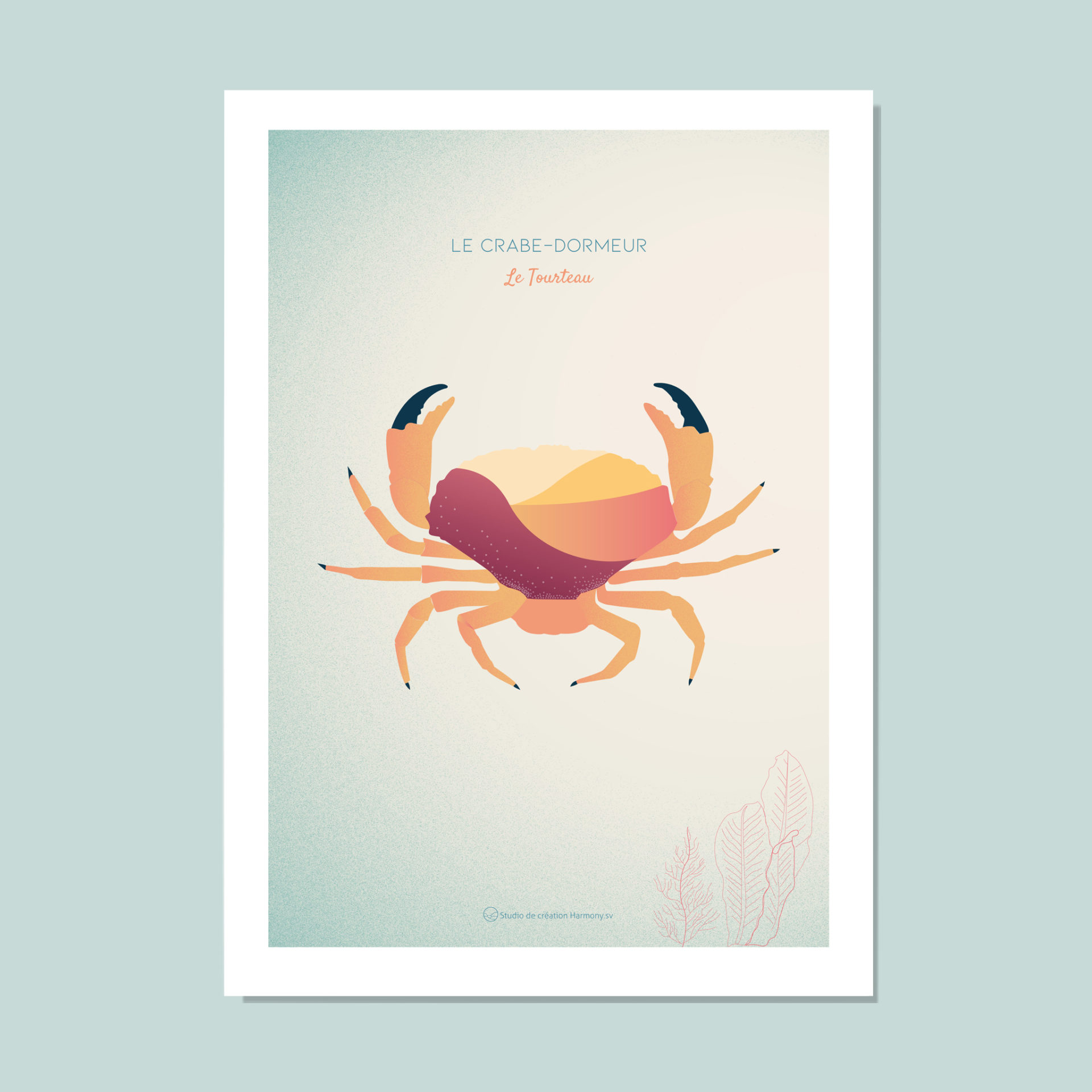 Affiche crabe
